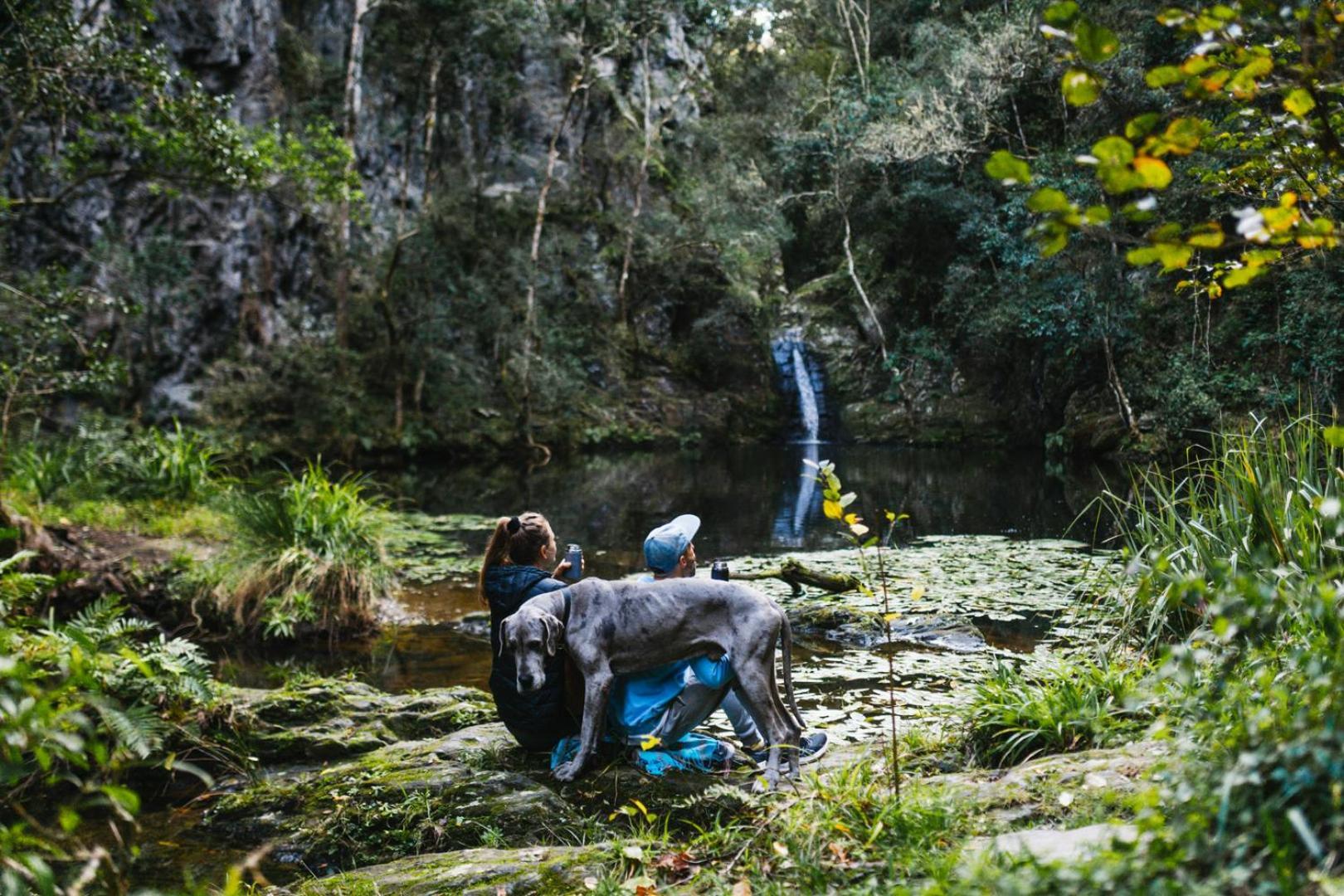 Vila Moonshine On Whiskey Creek The Crags Exteriér fotografie