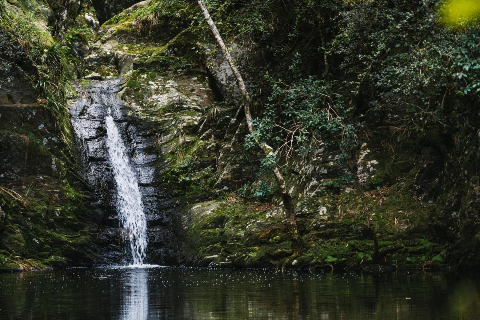 Vila Moonshine On Whiskey Creek The Crags Exteriér fotografie