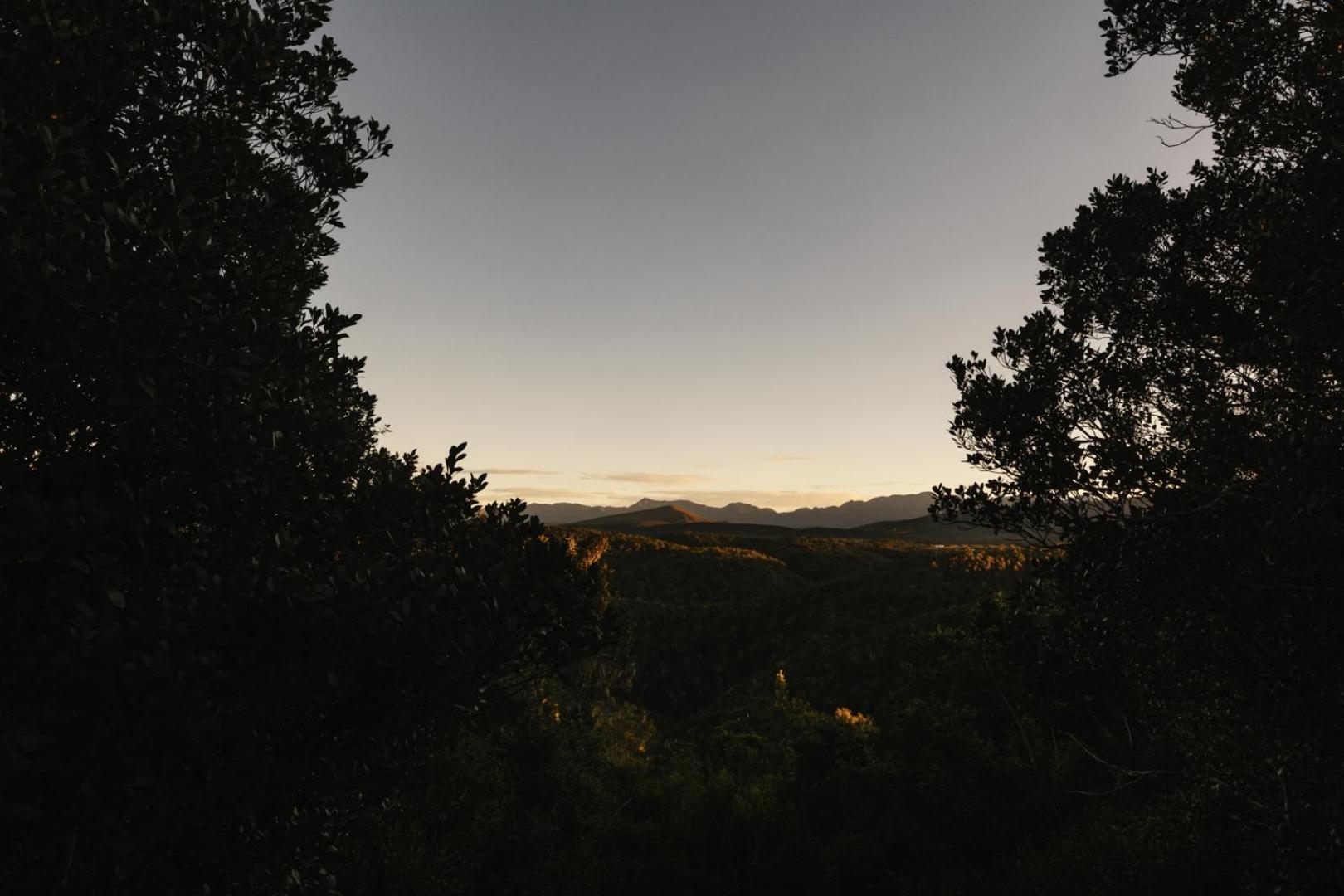 Vila Moonshine On Whiskey Creek The Crags Exteriér fotografie