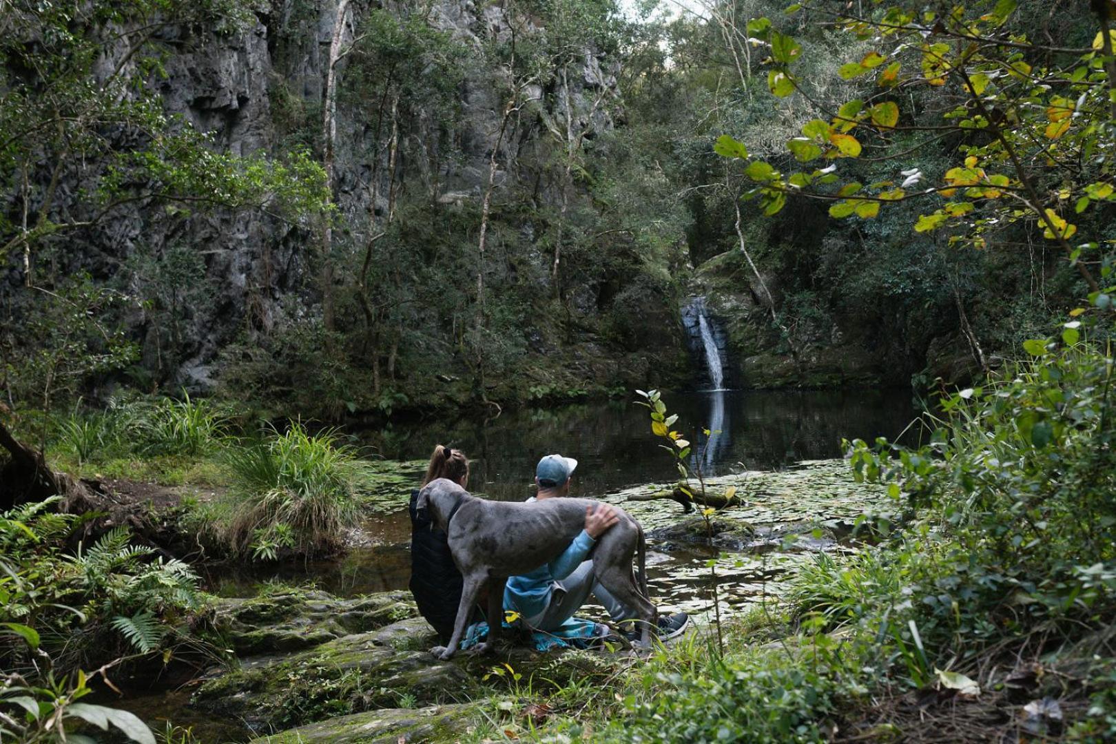 Vila Moonshine On Whiskey Creek The Crags Exteriér fotografie