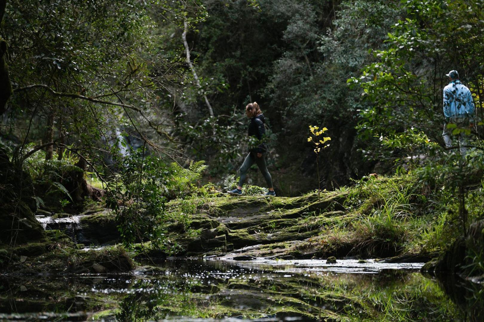 Vila Moonshine On Whiskey Creek The Crags Exteriér fotografie
