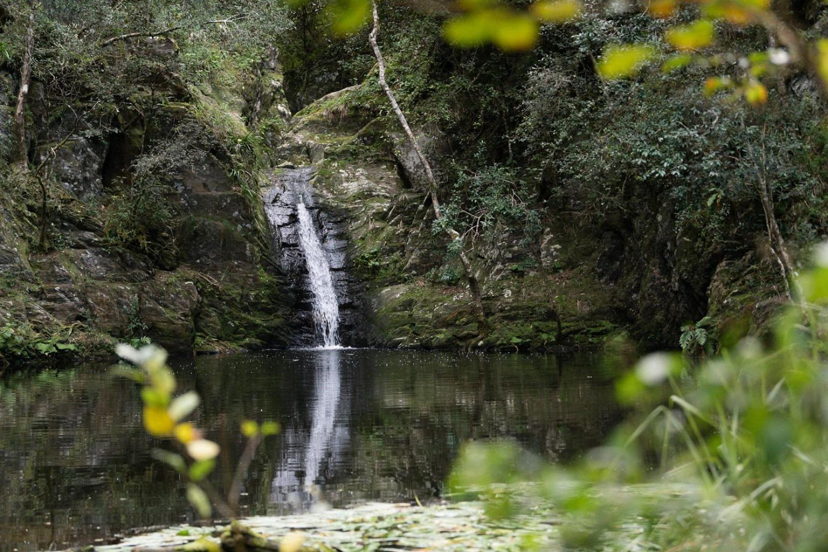 Vila Moonshine On Whiskey Creek The Crags Exteriér fotografie